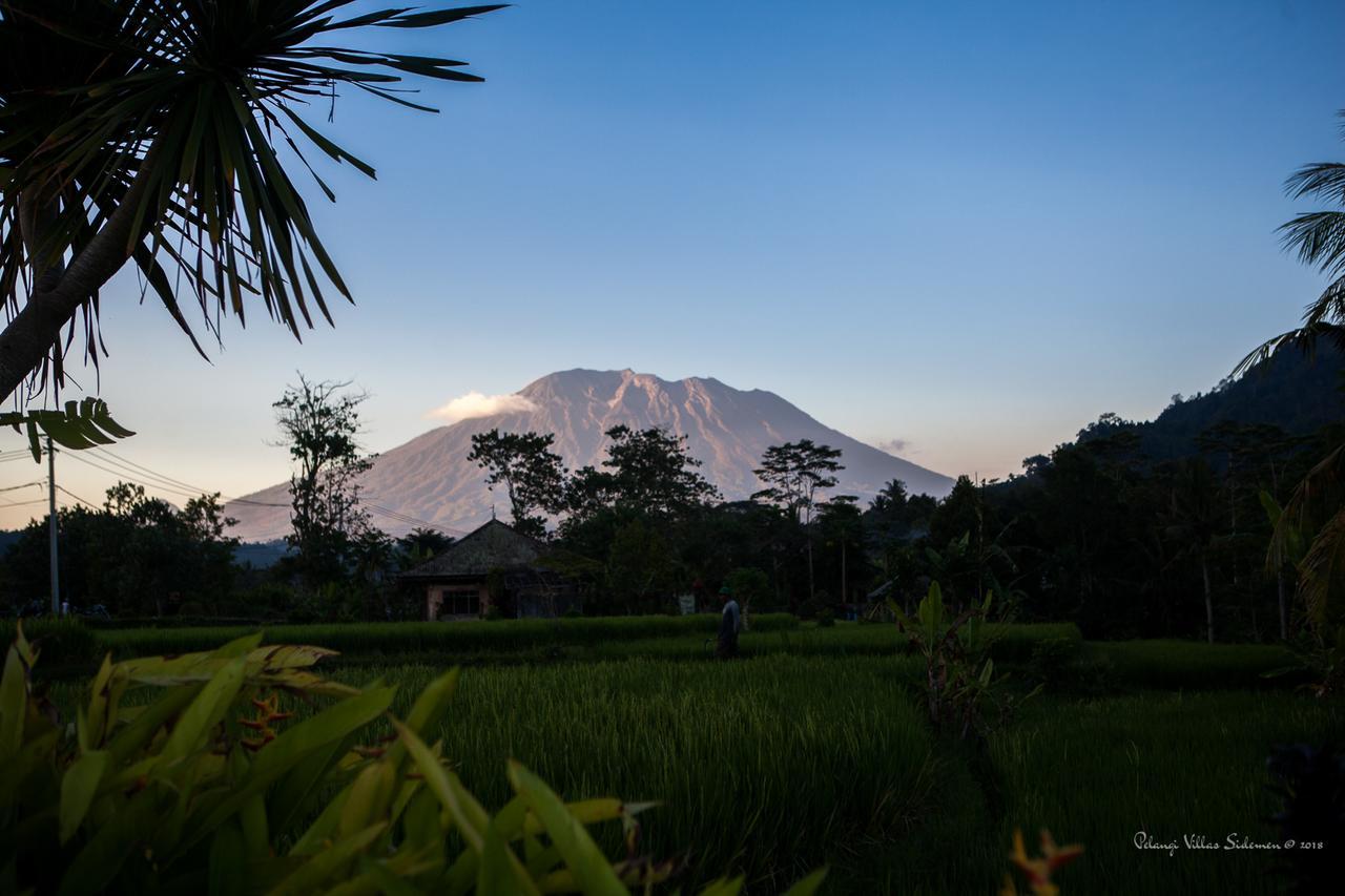 Pelangi Villas Sidemen By Agata エクステリア 写真
