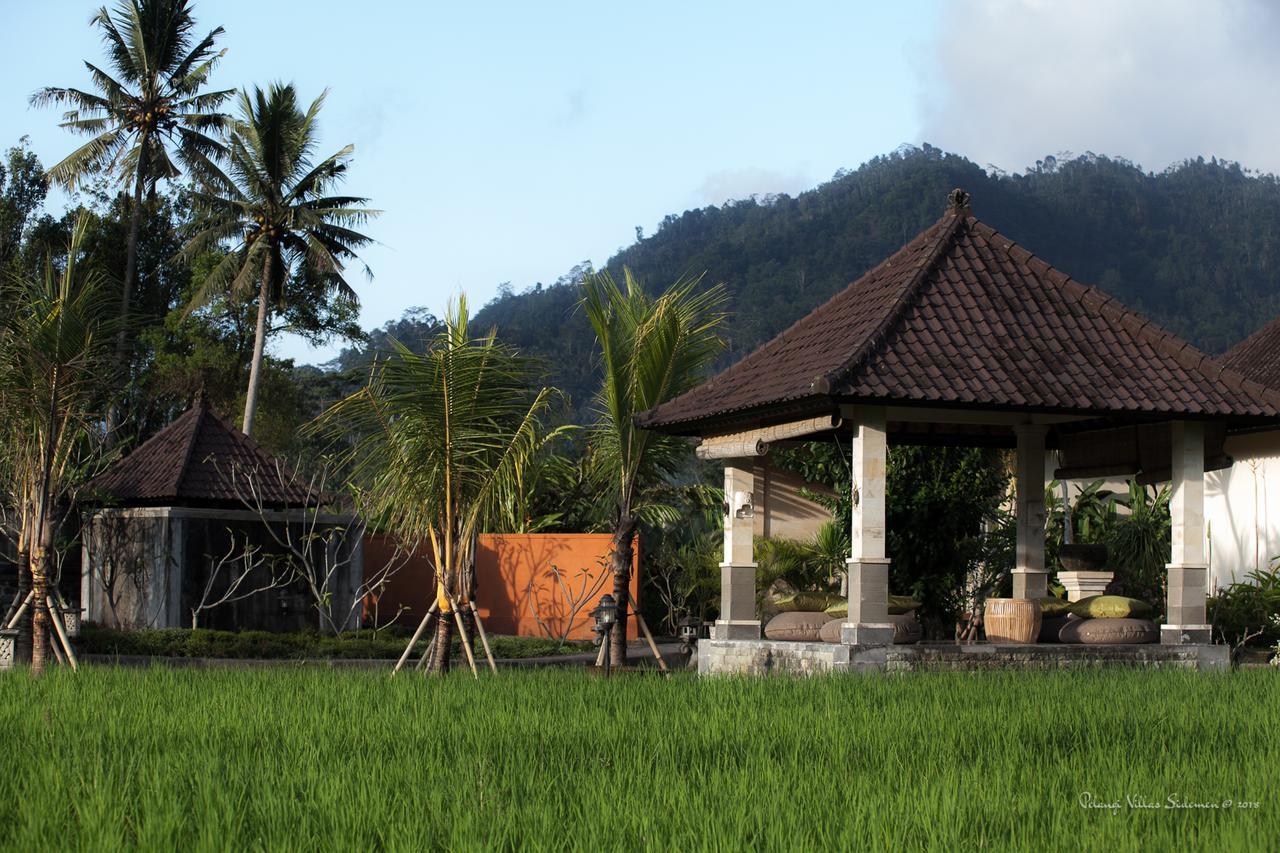 Pelangi Villas Sidemen By Agata エクステリア 写真